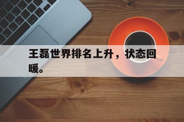王磊世界排名上升，状态回暖。