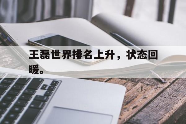王磊世界排名上升，状态回暖。