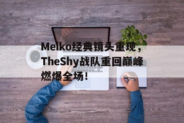 Meiko经典镜头重现，TheShy战队重回巅峰燃爆全场！